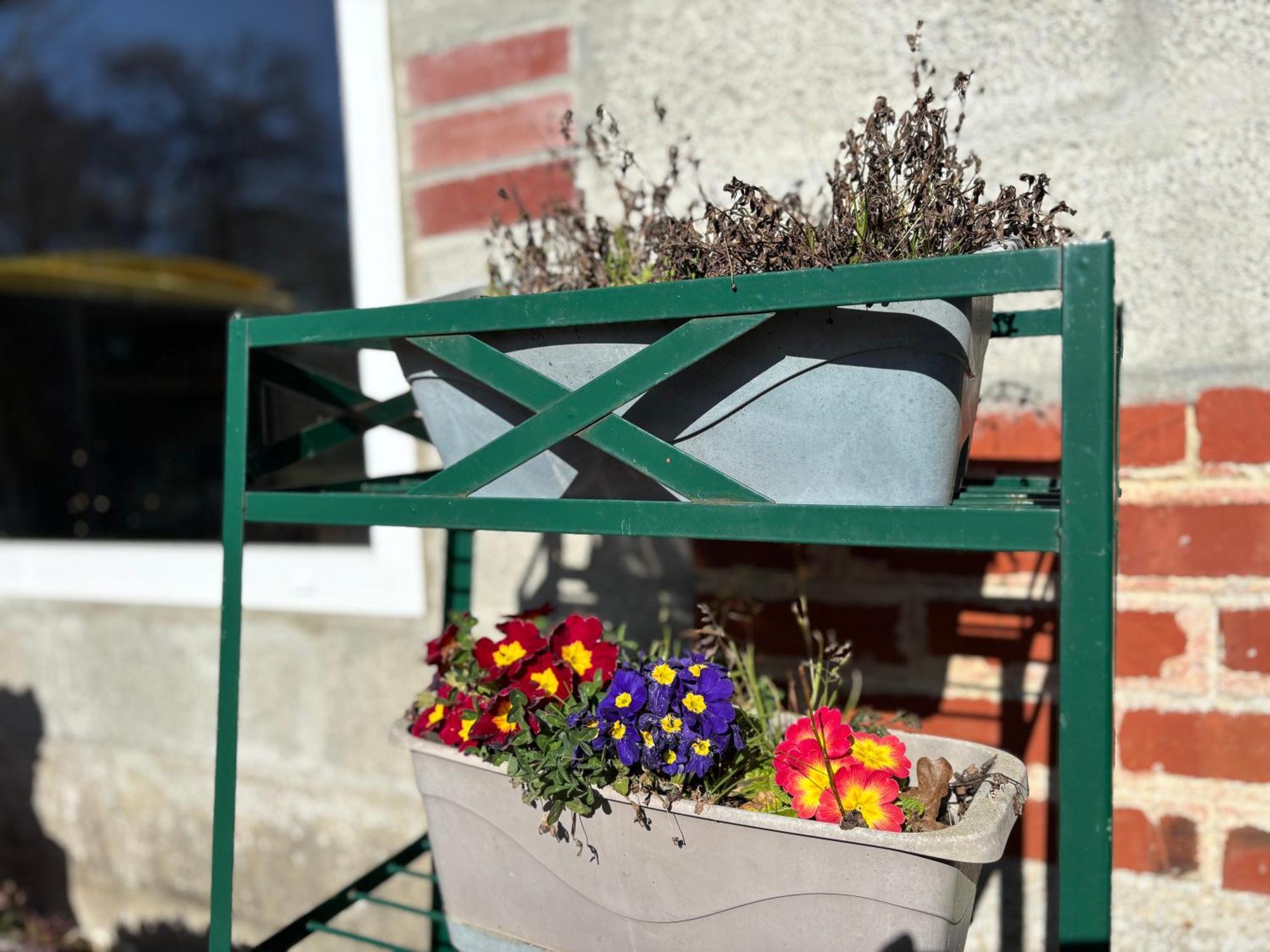 Maison De Campagne Lumineuse Spacieuse Dans Impasse Au Calme A Proximite D'Un Chateau Deux Verandas Grand Jardin Cabane Pour Velos, Pres Port En Bessin Et Bayeux, Proche Plages Du Debarquement Commes Eksteriør billede
